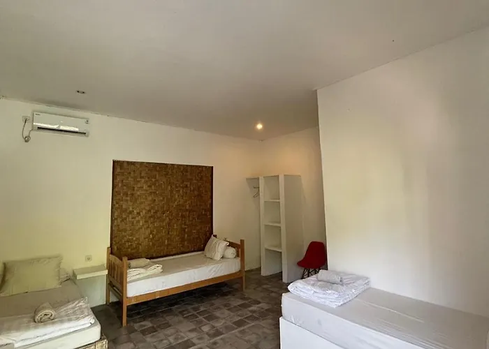 Jungle View Hostal *