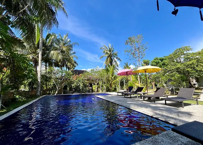 Jungle View