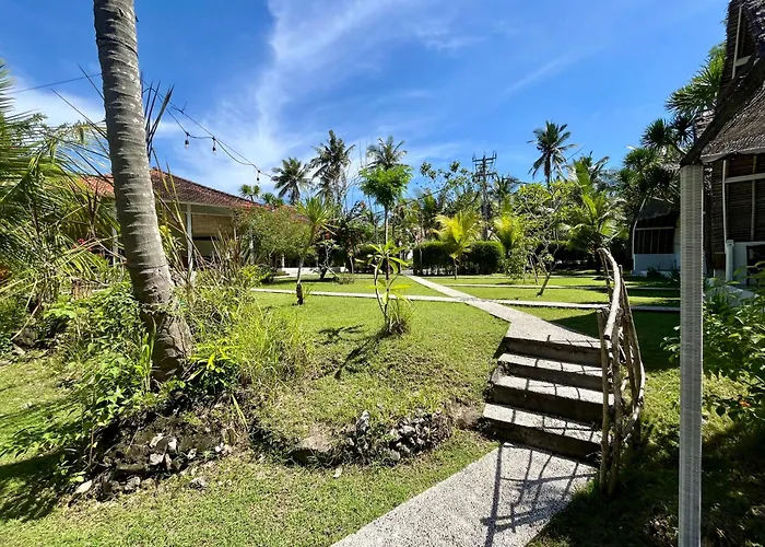 Jungle View