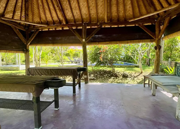 Jungle View