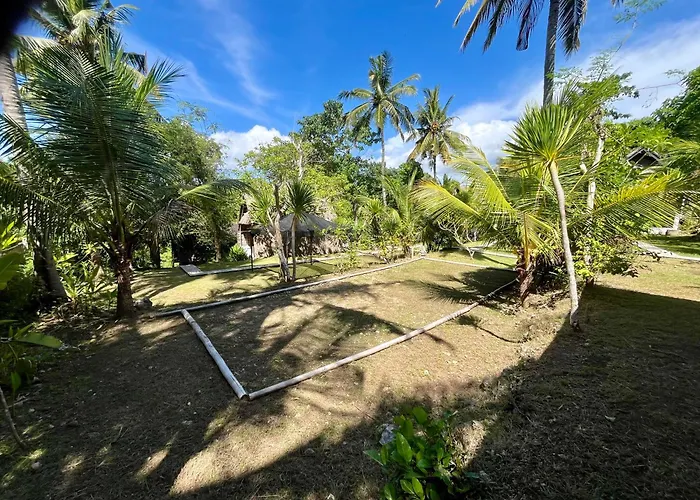 Jungle View Hostal