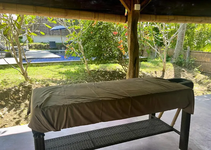 Jungle View