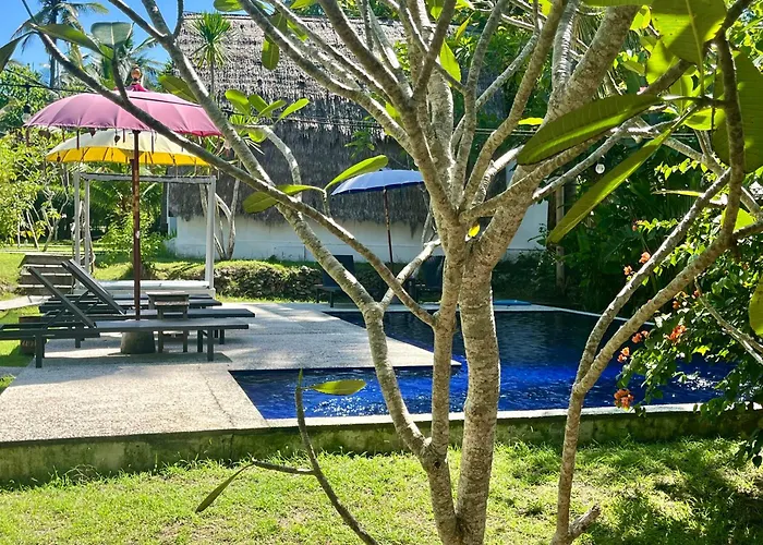 Jungle View