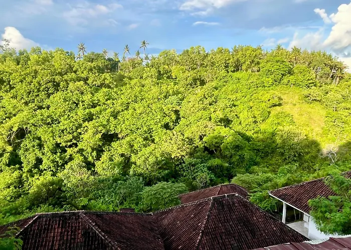 Hostal Jungle View *