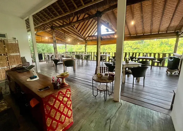 Jungle View Hostal *